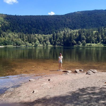L'Ecrin Des Vosges Διαμέρισμα Gérardmer Εξωτερικό φωτογραφία