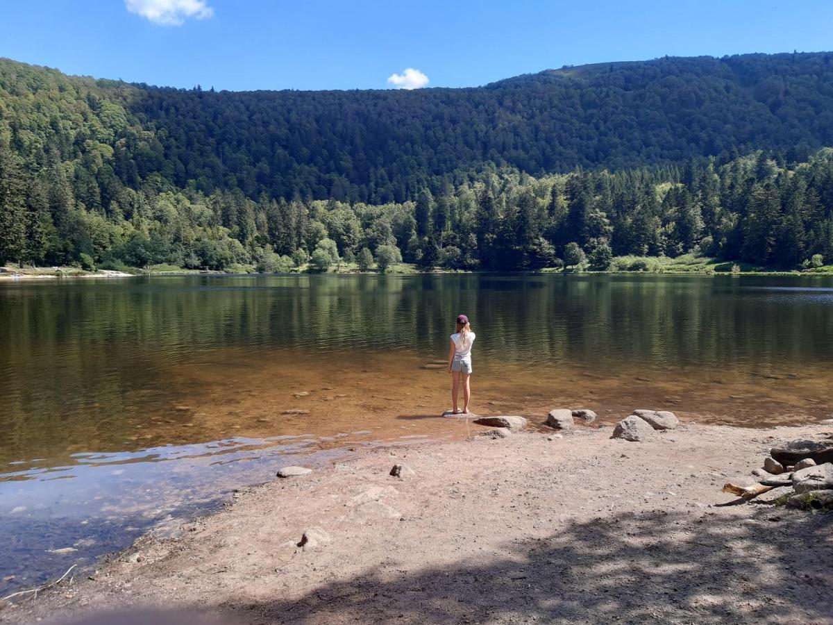 L'Ecrin Des Vosges Διαμέρισμα Gérardmer Εξωτερικό φωτογραφία
